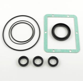 KIT 42474 OIL SEALS RCA & RCV SERIES by AR PUMP